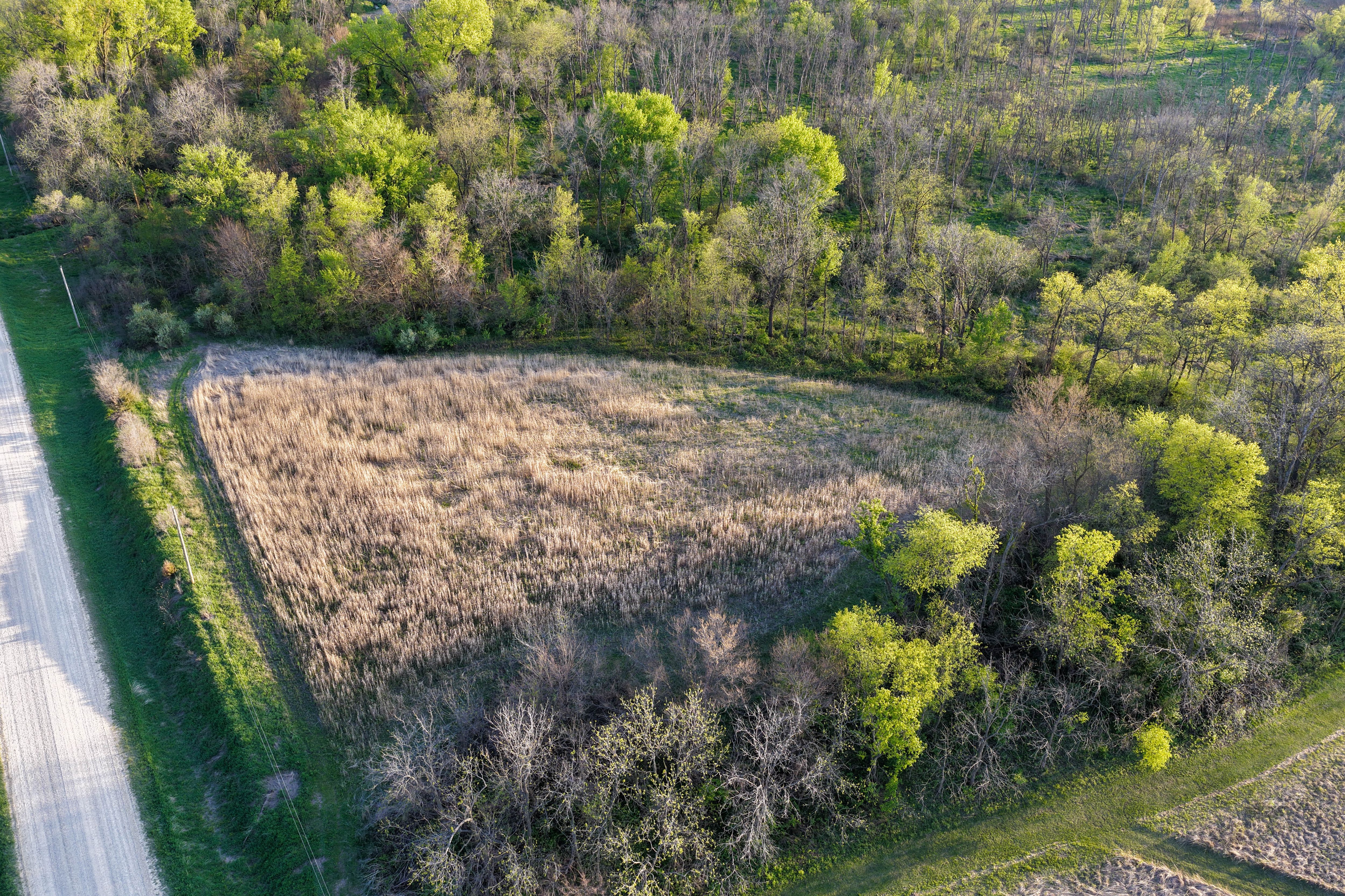 Listing Photo: Cedar County Whitetail Hutning Farm For Sale-33